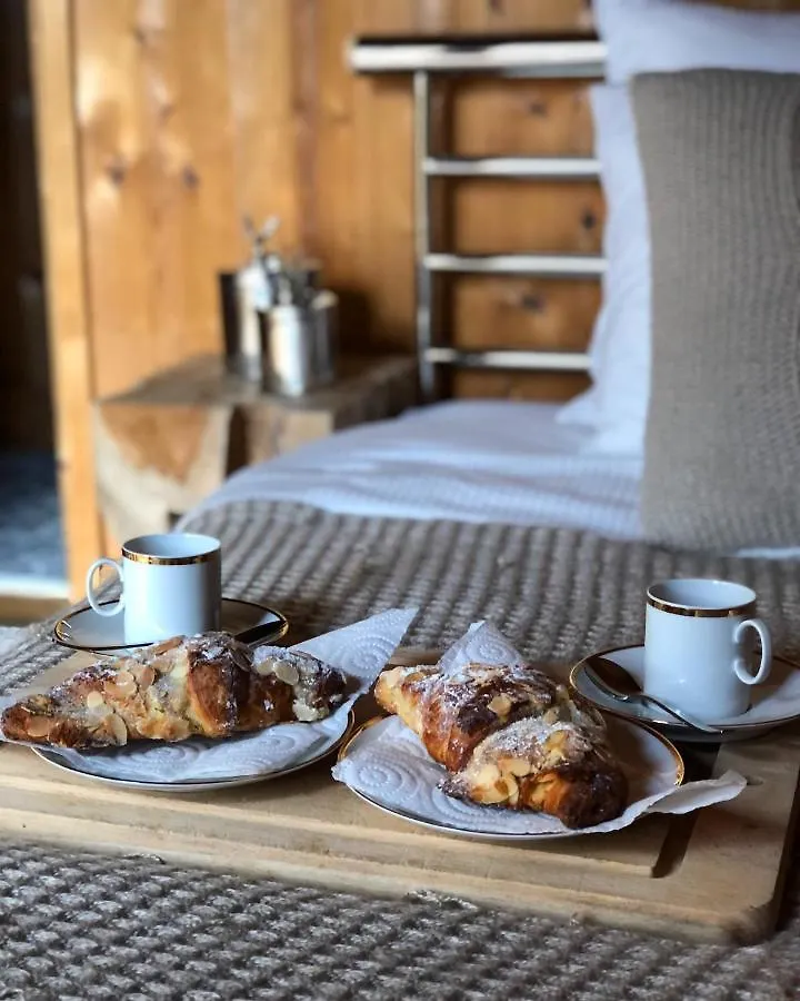 Alpine Retreat With Mont Blanc View, Chamonix, Private Parking Villa Chamonix